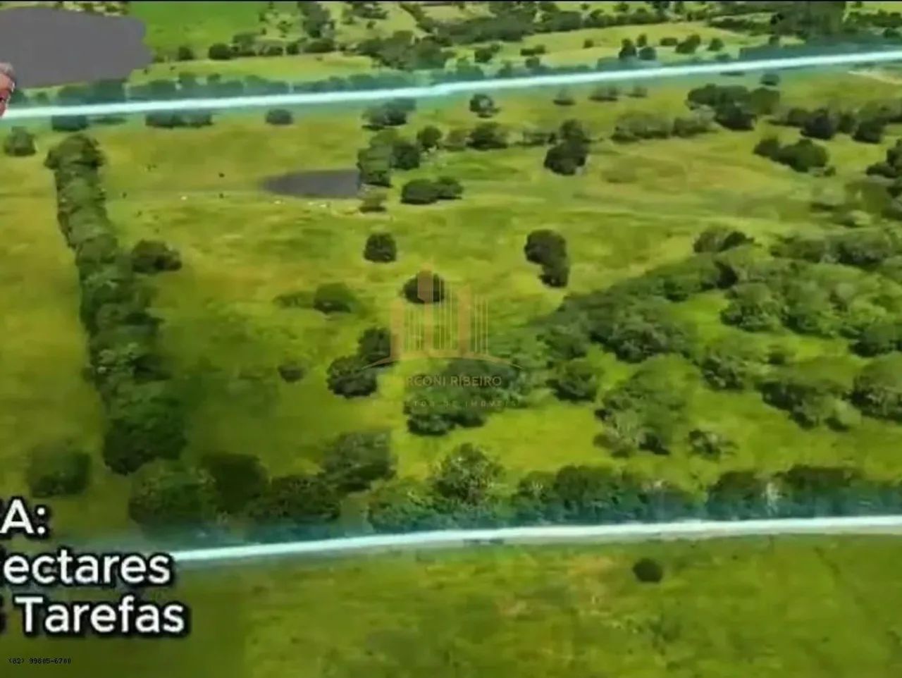 Sítio para Venda em Palmeira dos Índios, Área Rural de Palmeira dos Índios - Foto 8