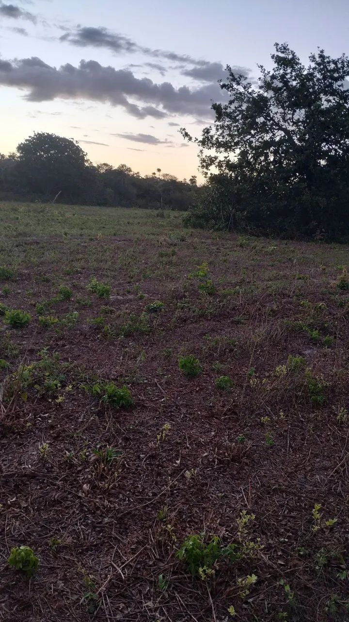 Terrenos na zona rural de Beberibe  - Foto 5
