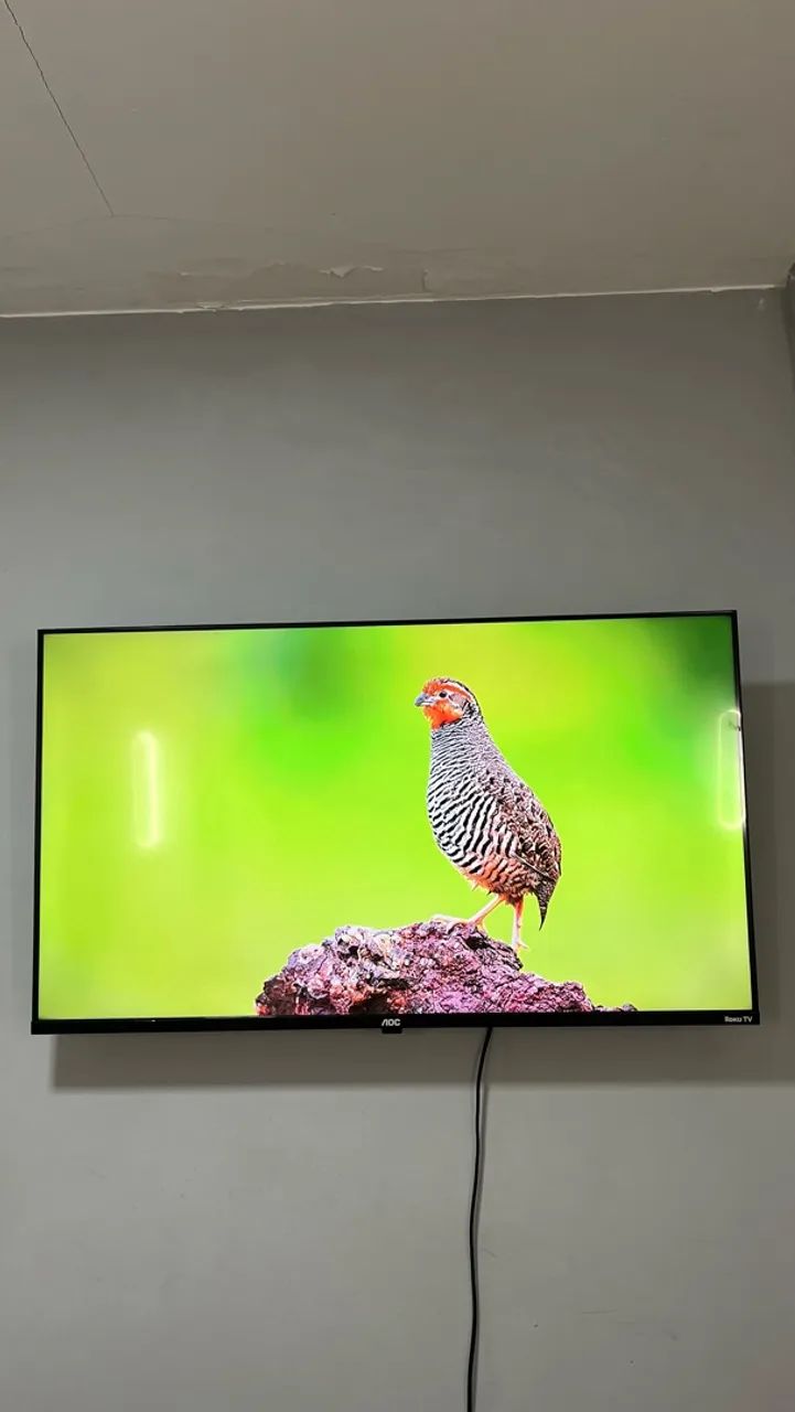 VENDO TV 40 POLEGADAS AOC ROKU! PERFEITA! - Foto 5