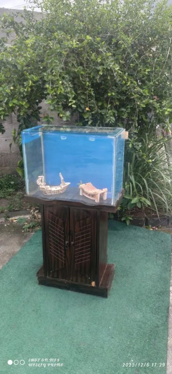 Aquário com suporte  - Foto 4