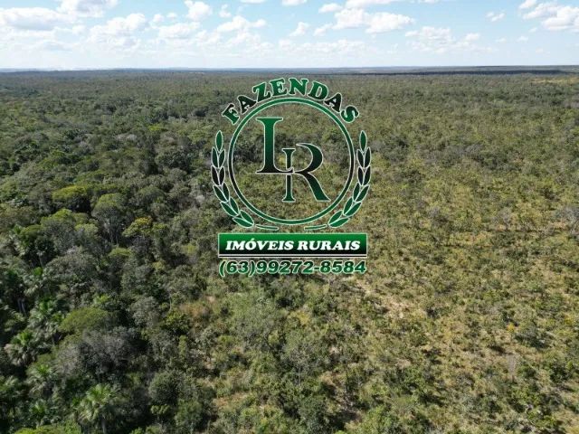 Oportunidade Fazenda Bruta Tocantins 117 alqueires. - Foto 3