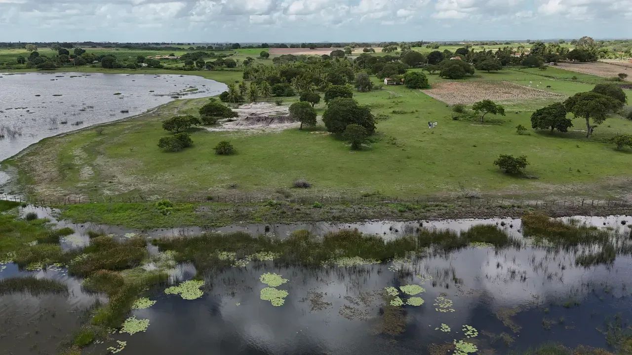 fazenda com 19.9 hectares próximo a lagoa salgada um paraíso de área - Foto 3