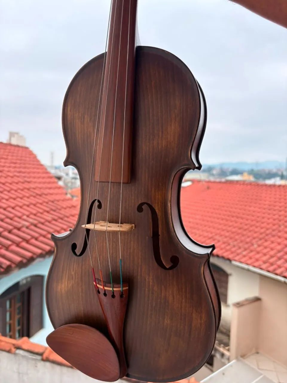 Viola de arco (Viola erudita) - Foto 2