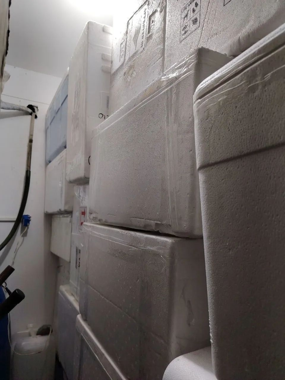 Caixas de isopor seminovas à partir de R$ 30,00