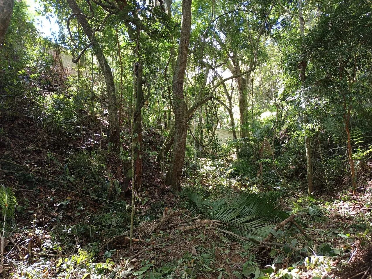 Terreno 2.000m2 Mairiporã -SP - Foto 2