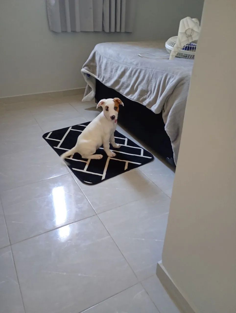 Doação da Clhoe - Foto 2