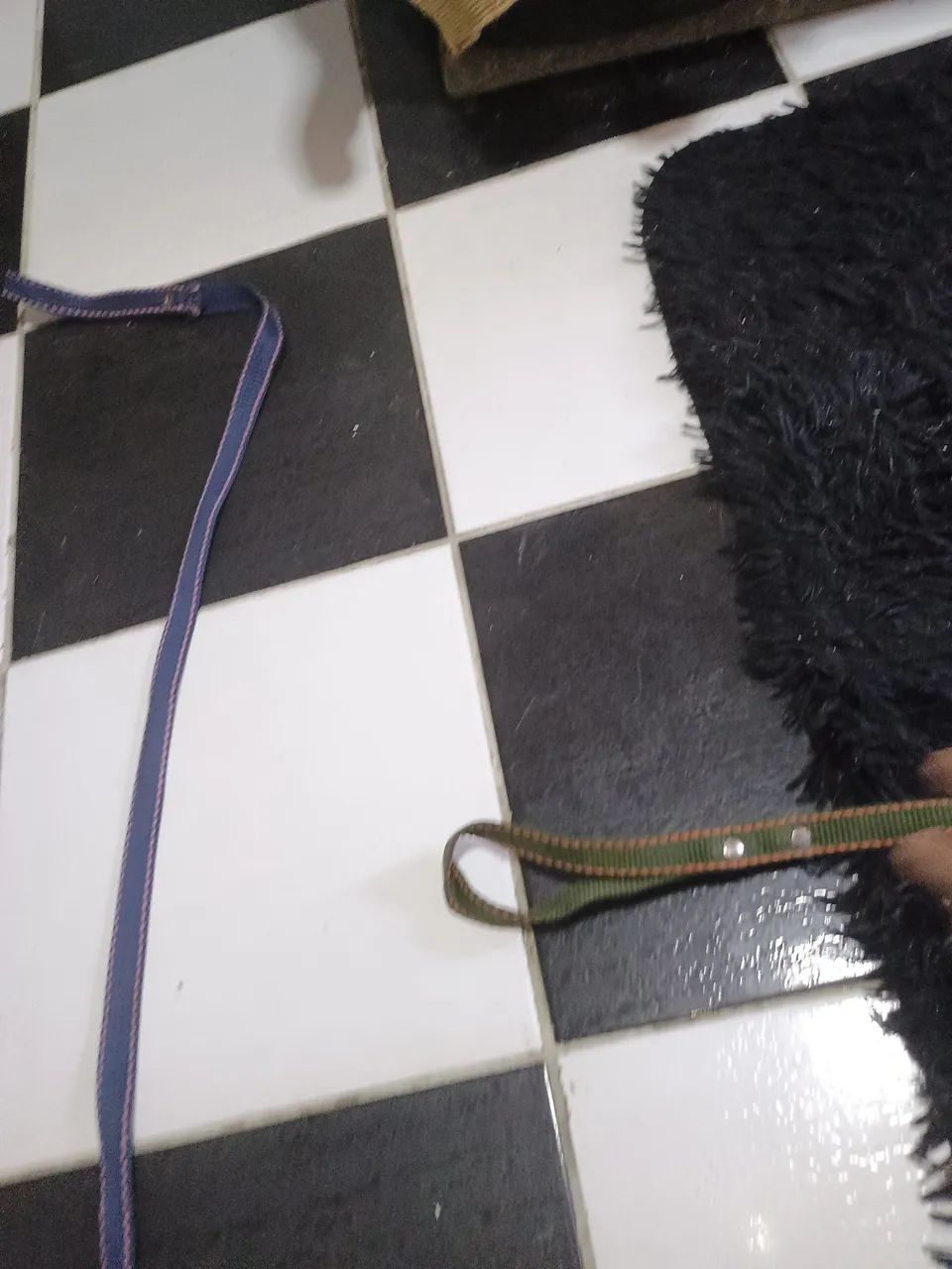 Guaia de cão pq.porte - Foto 2