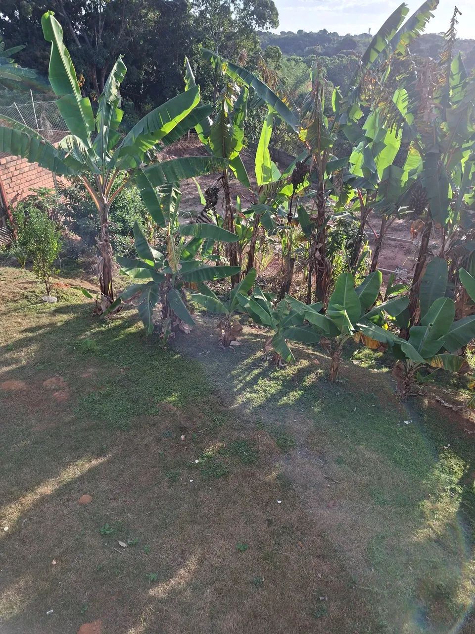 Vende  - Foto 4