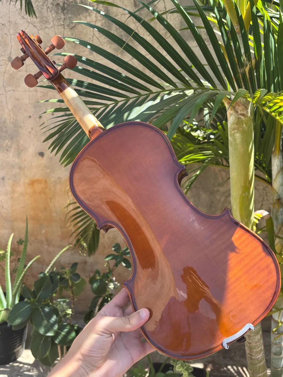 Violino VE 441  - Foto 3