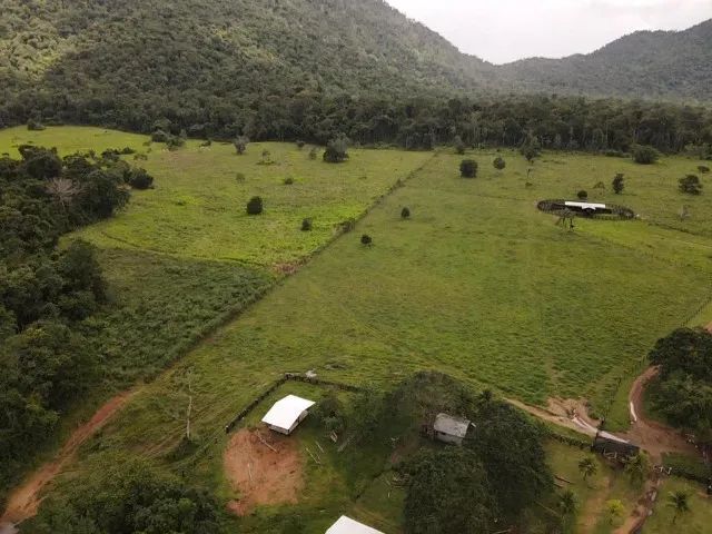 Fazenda no Apiau - Foto 2