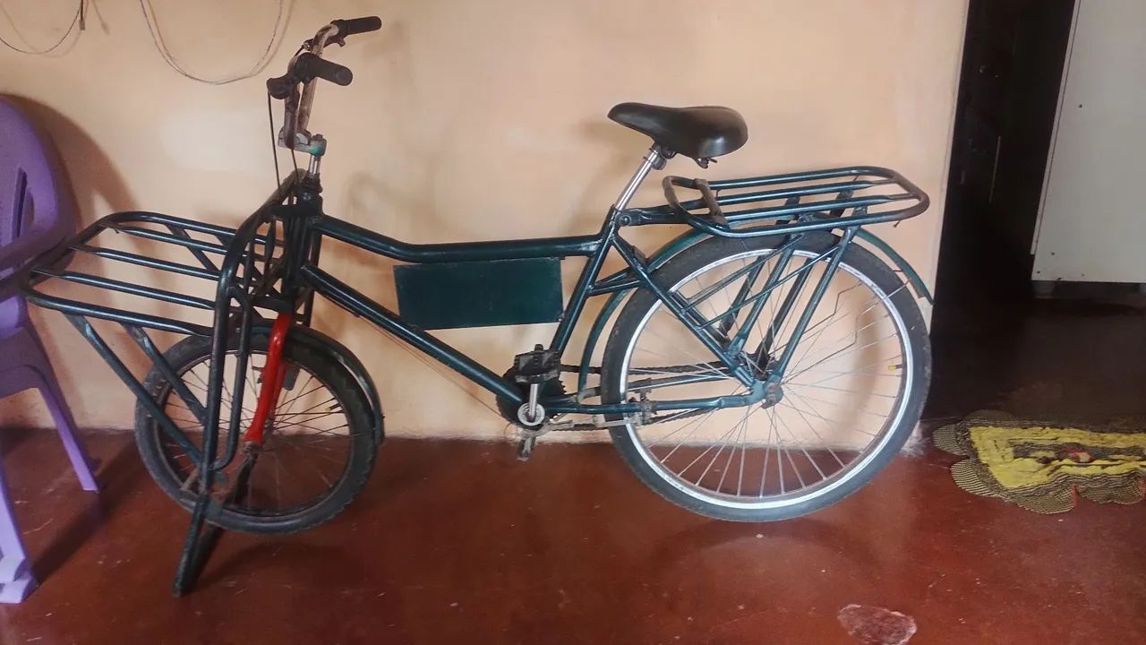 Bicicleta cargueira 