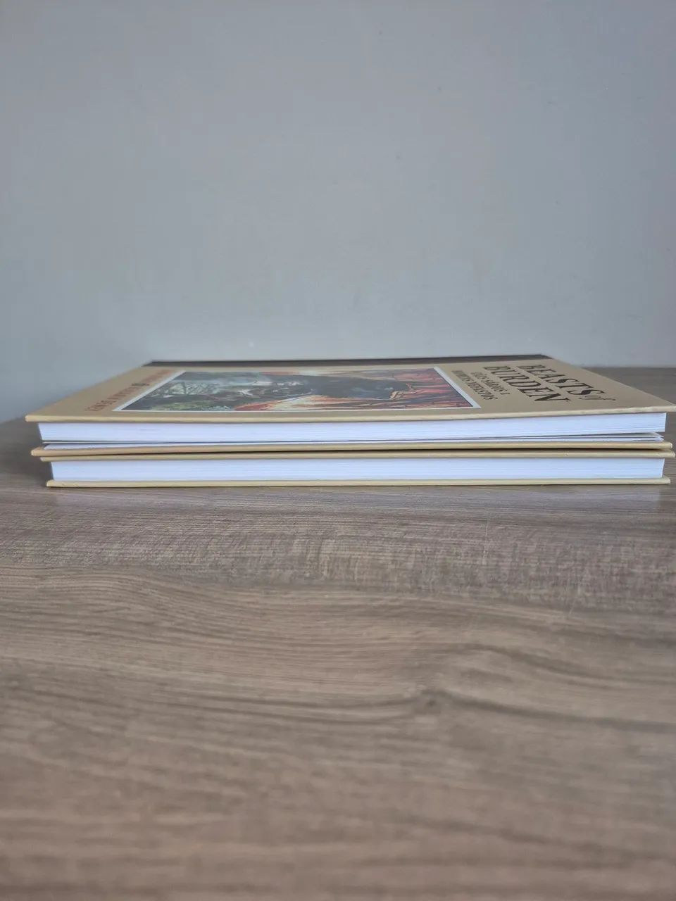 Beasts Of Burden 2 Vols. - Foto 5
