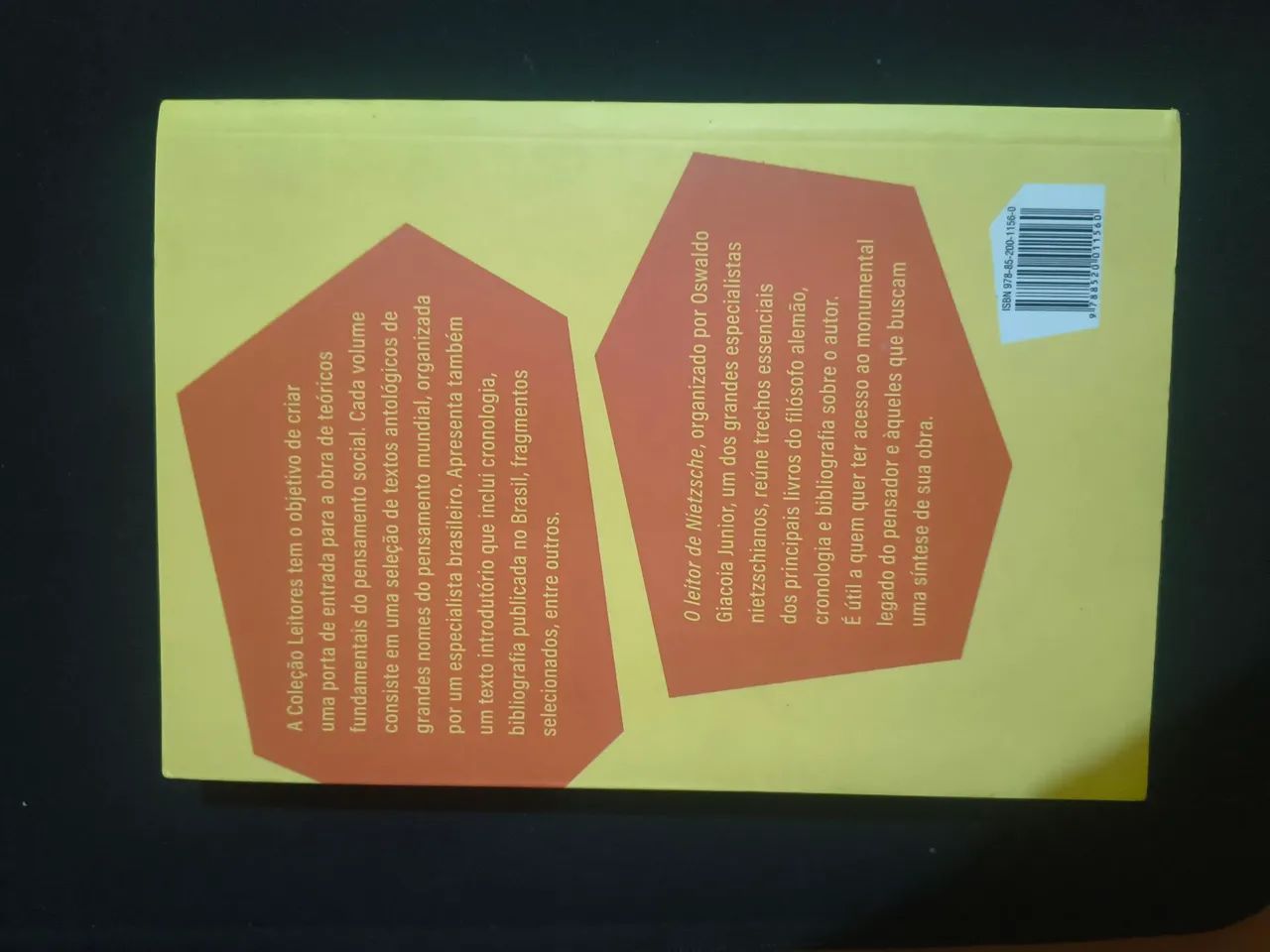 O leitor de Nietzsche  - Foto 2