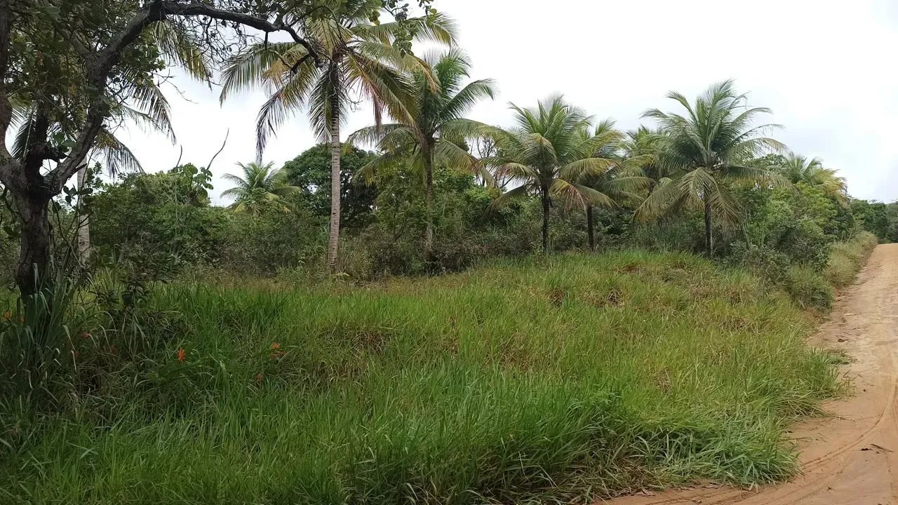 Área em   Conde - Jacuma  -  PB - Foto 2