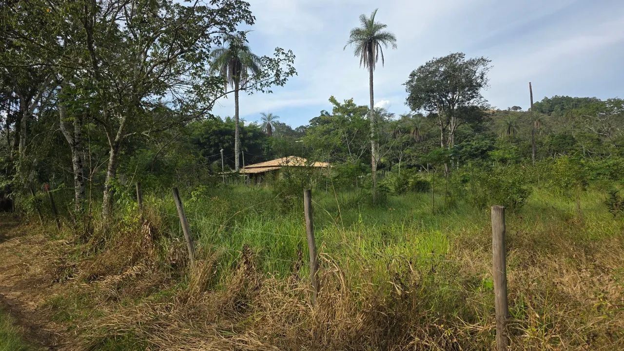 Terreno na paciencia  - Foto 2