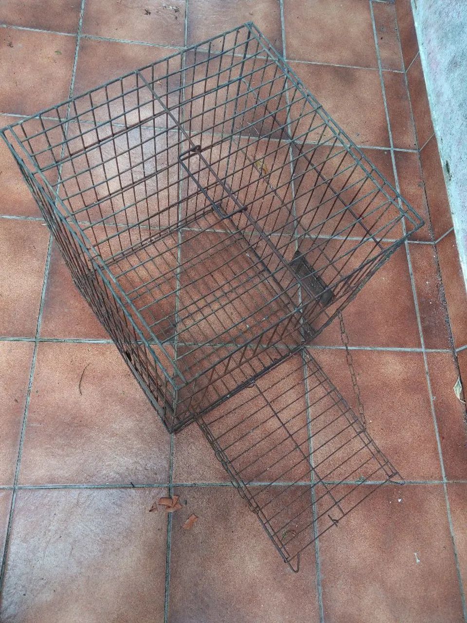 Gaiola grande  - Foto 2