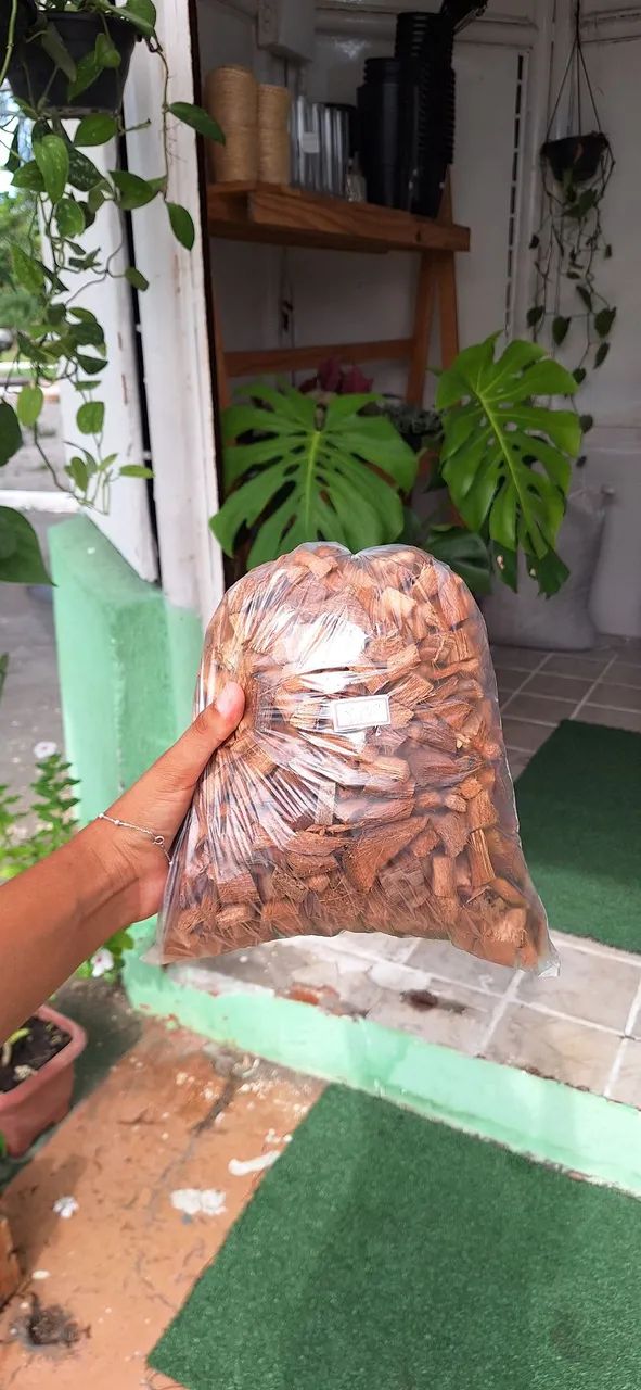 Chips de coco (substrato de orquídea)