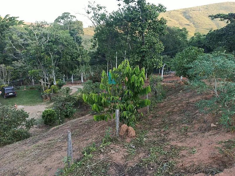 CHÁCARA FORMADA DE FÁCIL ACESSO EM LORENA -SP - Foto 3