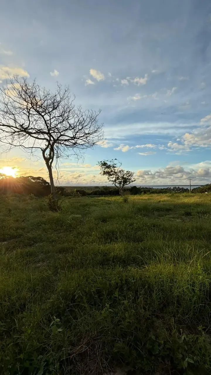 PRAIA DE PANAQUATIRA: Terreno a venda vista mar e panorâmica - São Luís-MA - Foto 6