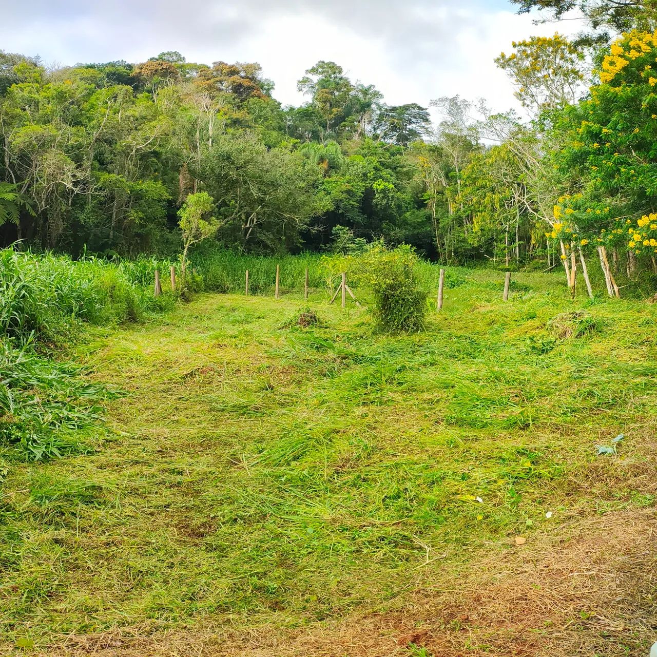 Foto - Cotia - Ressaca