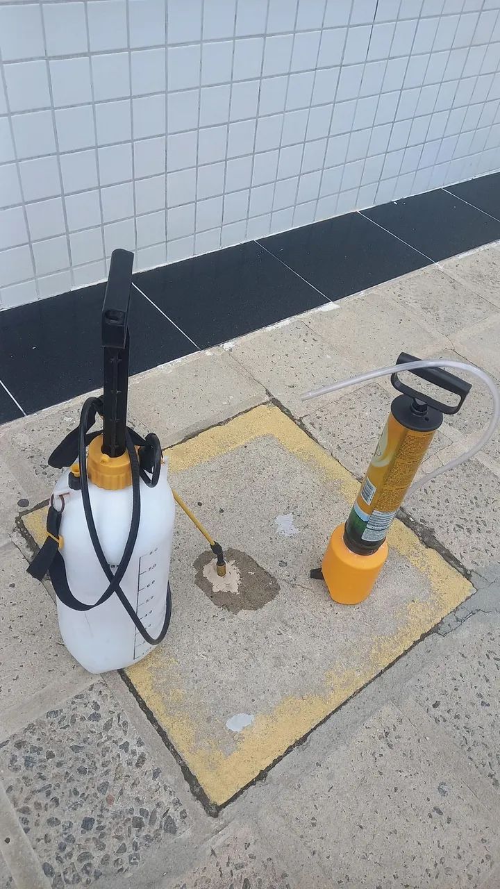 Dedetização 