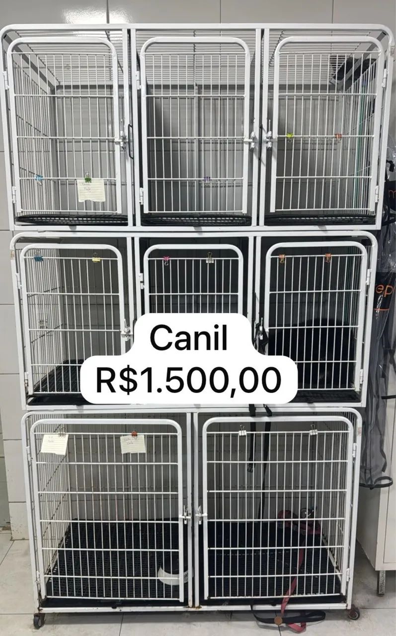 Equipamentos para banho e tosa  - Foto 6