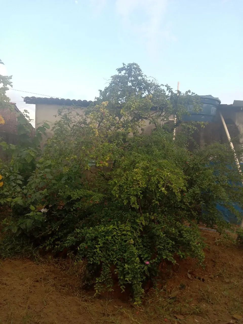 Uma casa - Foto 4