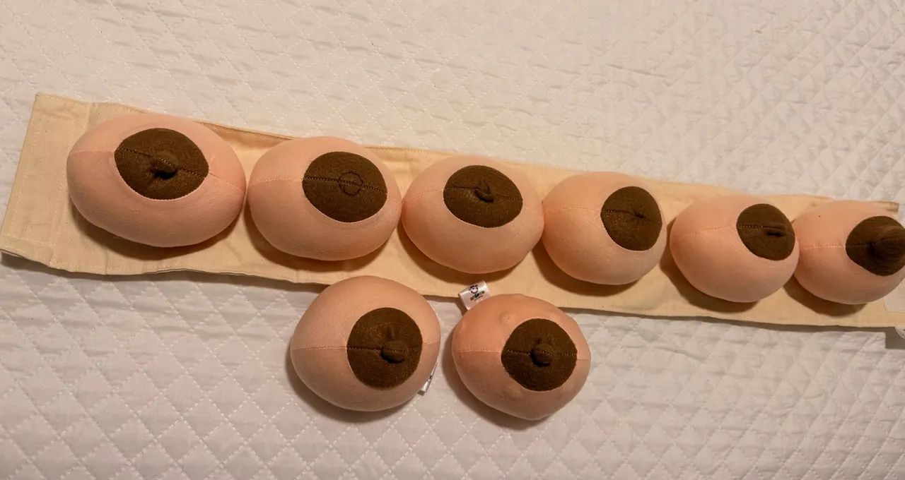 Material de Apoio a Amamentação  - Foto 2