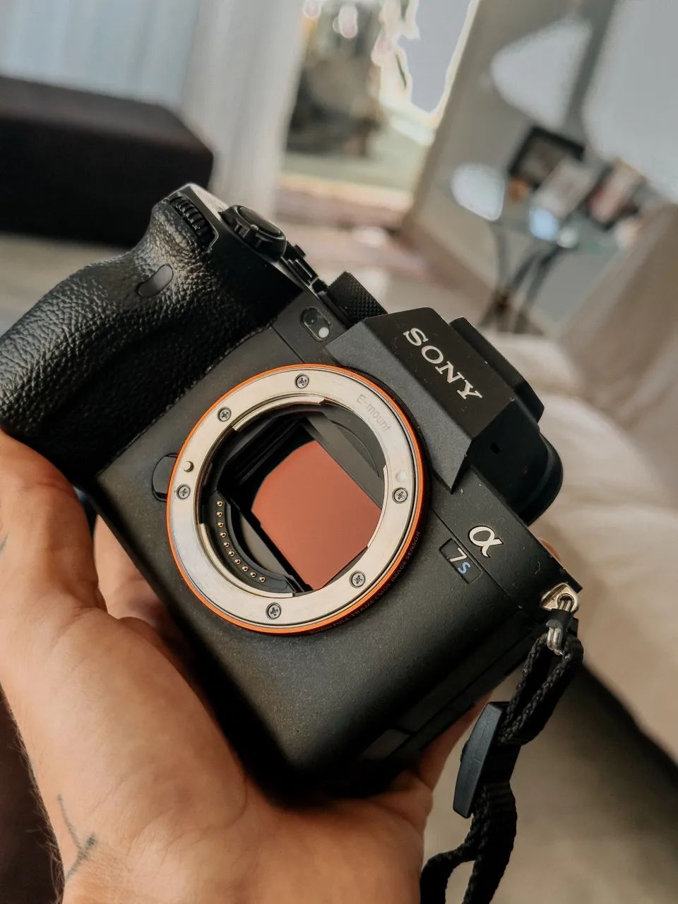 Sony Alpha 7 SIII - Foto 2