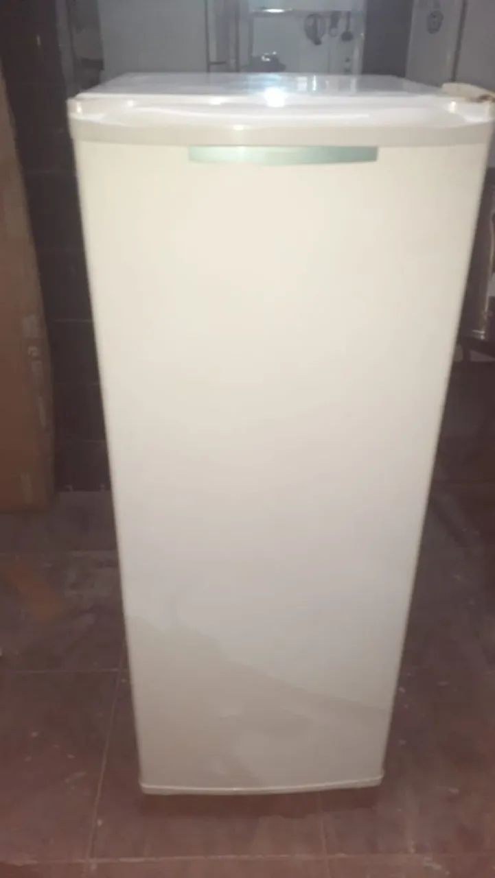 Freezer vertical Consul 127v