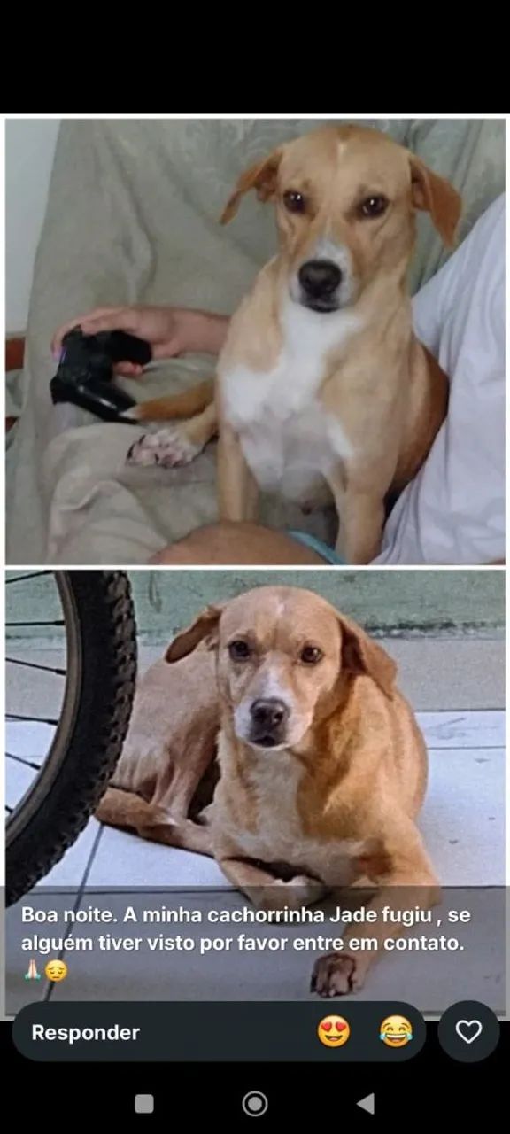 Doação responsável 