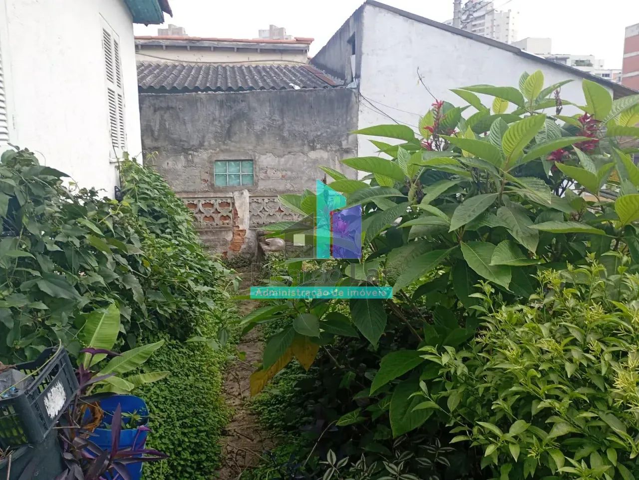Terreno à venda, Vila Yara, Osasco, SP - Foto 2