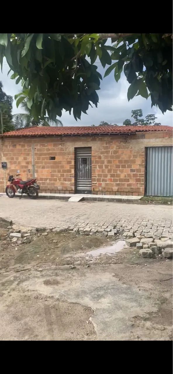 Vende-se Chacara com uma tarefa de terra toda murada  - Foto 3