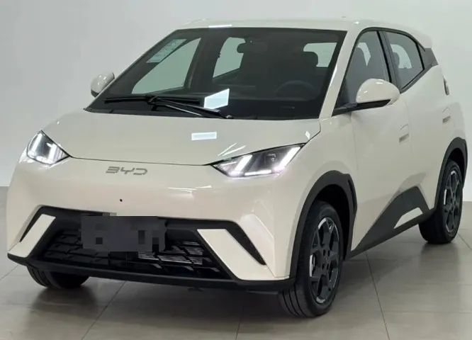 BYD Dolphin Mini (Elétrico) 2026 - Foto 2