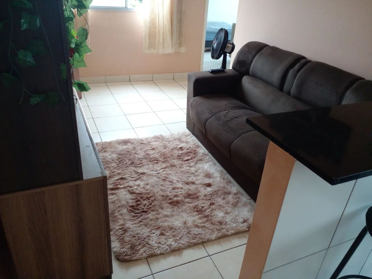 2/4 semi novo. Estr.coco. mobiliado  - Foto 3