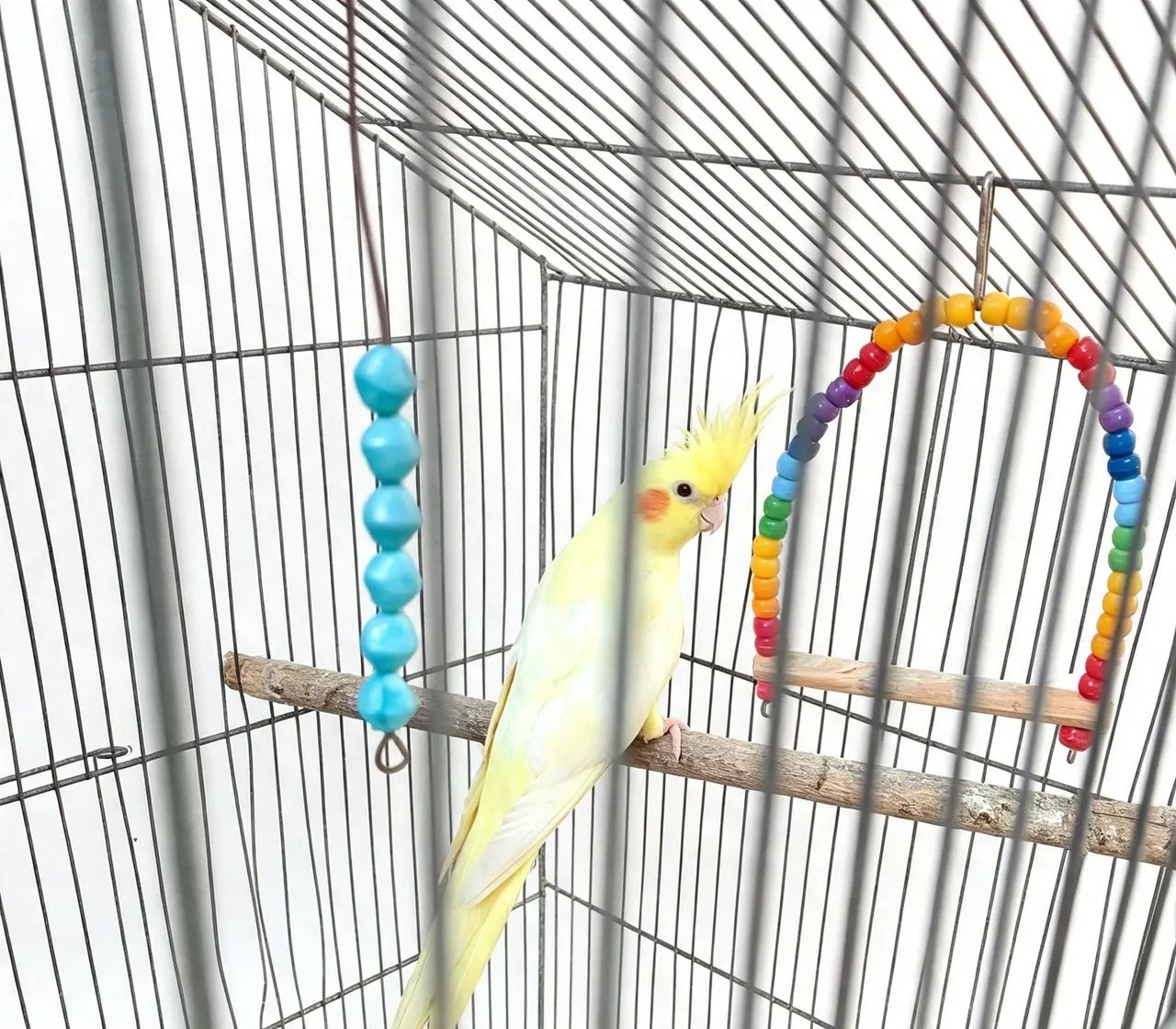 Lutina 