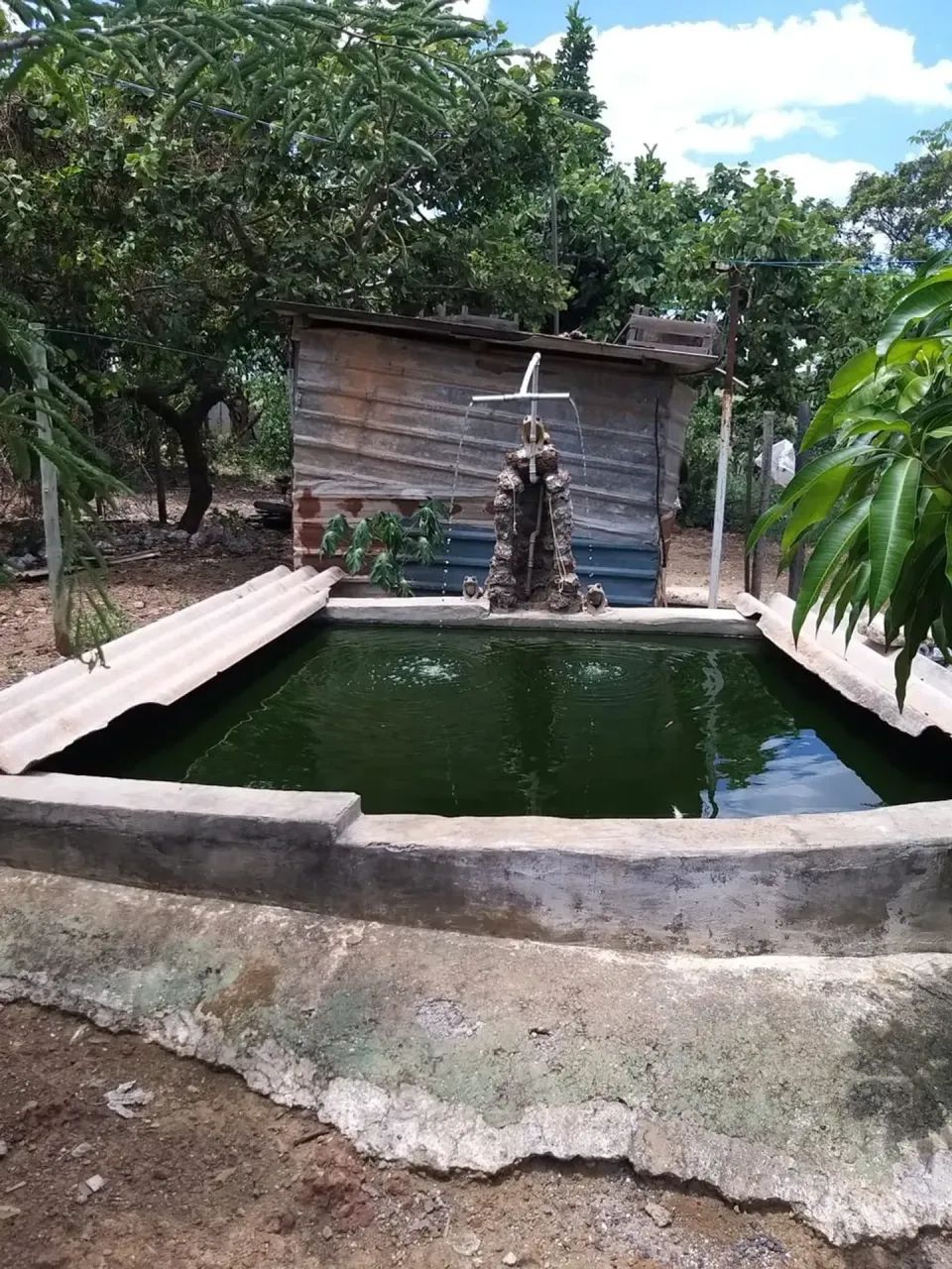 vendo excelente chacara p. alta sul gama - Foto 4