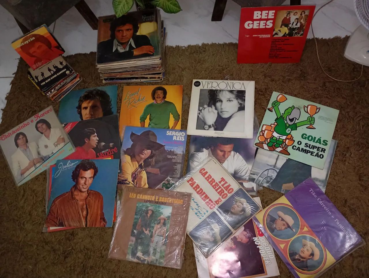 Discos de vinil antigos 