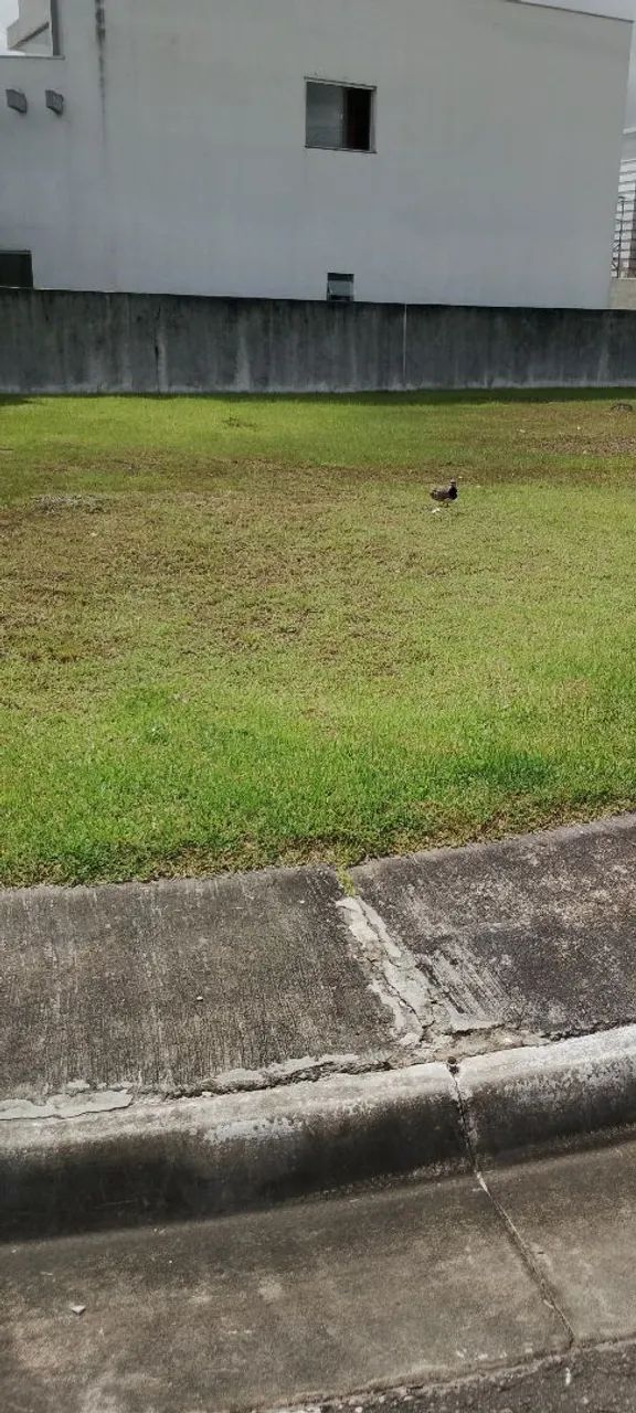 CONDOMINUM JARDINS DO LAGO  - Foto 4