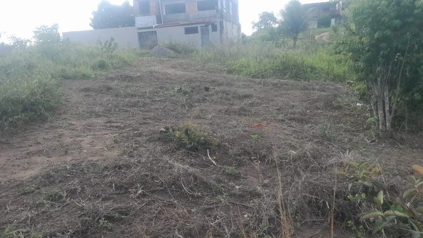 Foto - Simões Filho - Pitanguinha