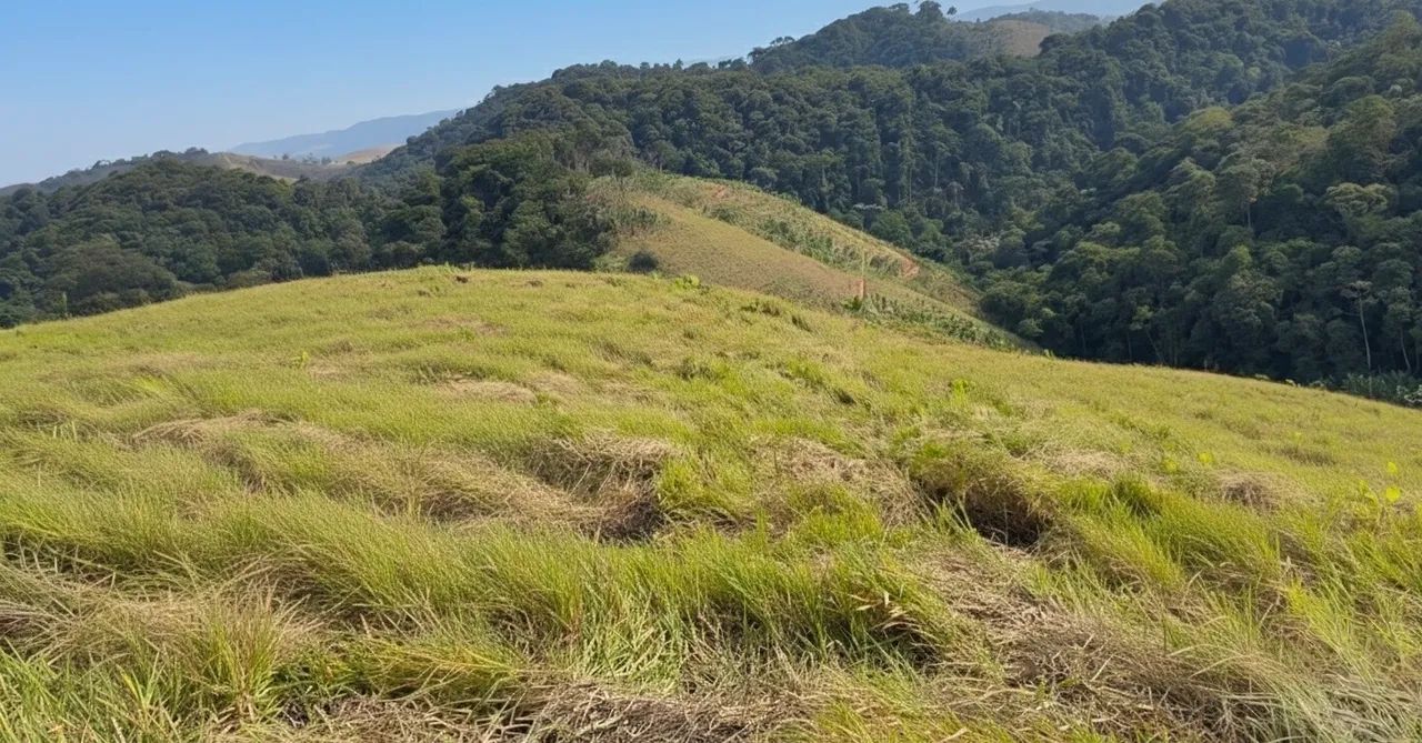 Foto - Piraí - 