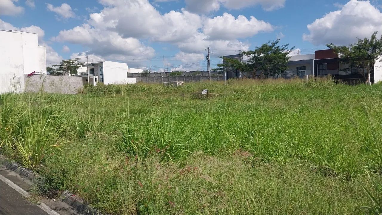 JARDIM DAS TULIPAS - LOTE - Foto 2