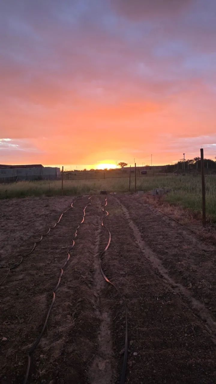 Terreno para chácara 1.200m² - Foto 3