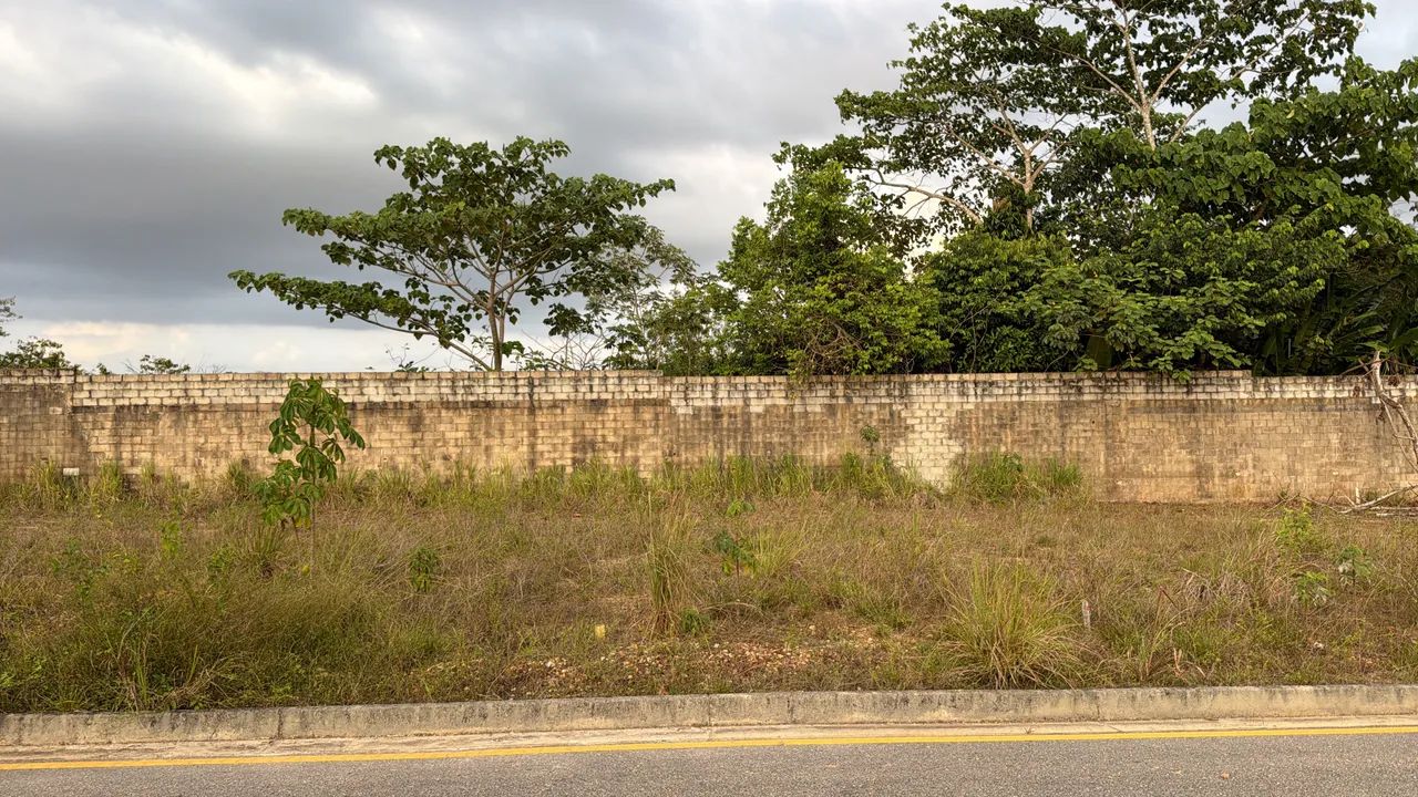 Bougainville Aug. MONT.- REPASSE  - Foto 2