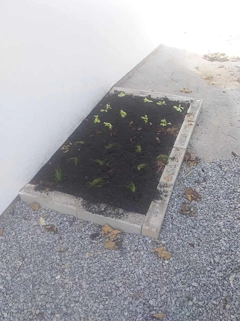 Linda casa no bairro Loeffelscheidt, águas mornas. - Foto 5