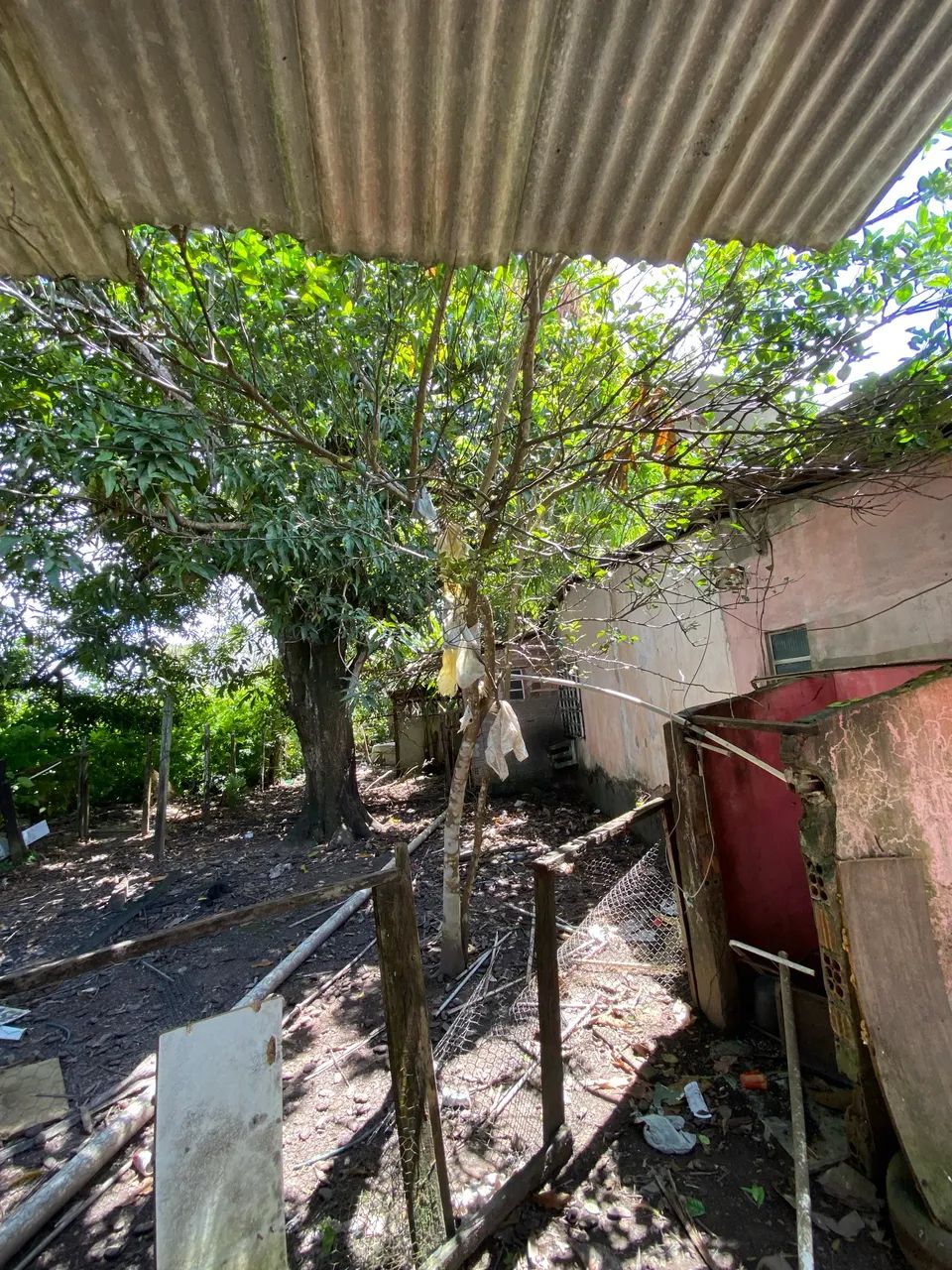 Negócio uma casa  - Foto 2