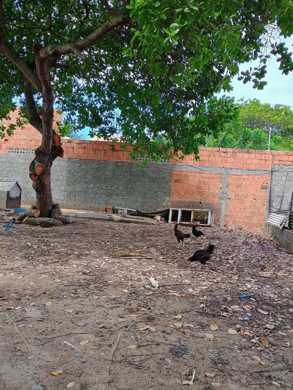 Terreno 10x30 - Foto 3