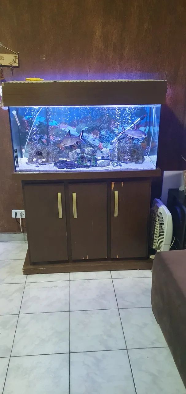 Aquario 200 litros