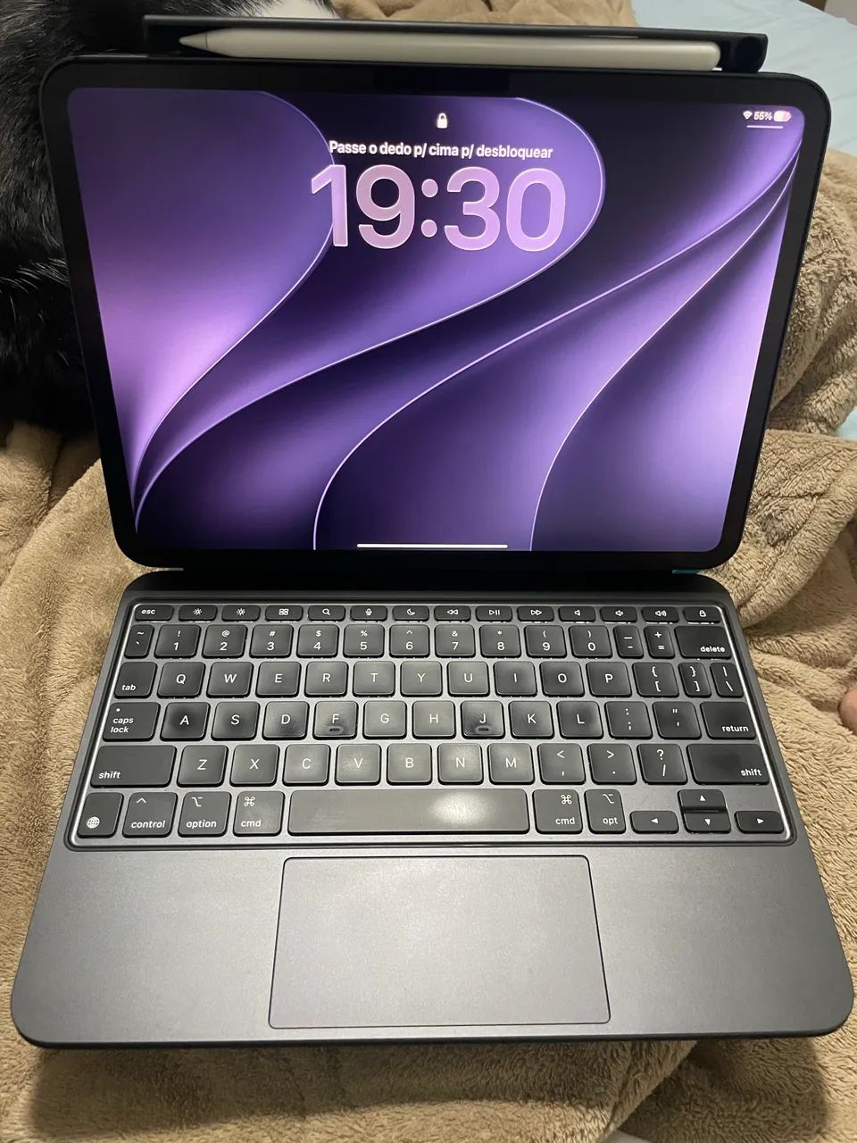iPad Pro M4 de 11 polegadas e 256gb