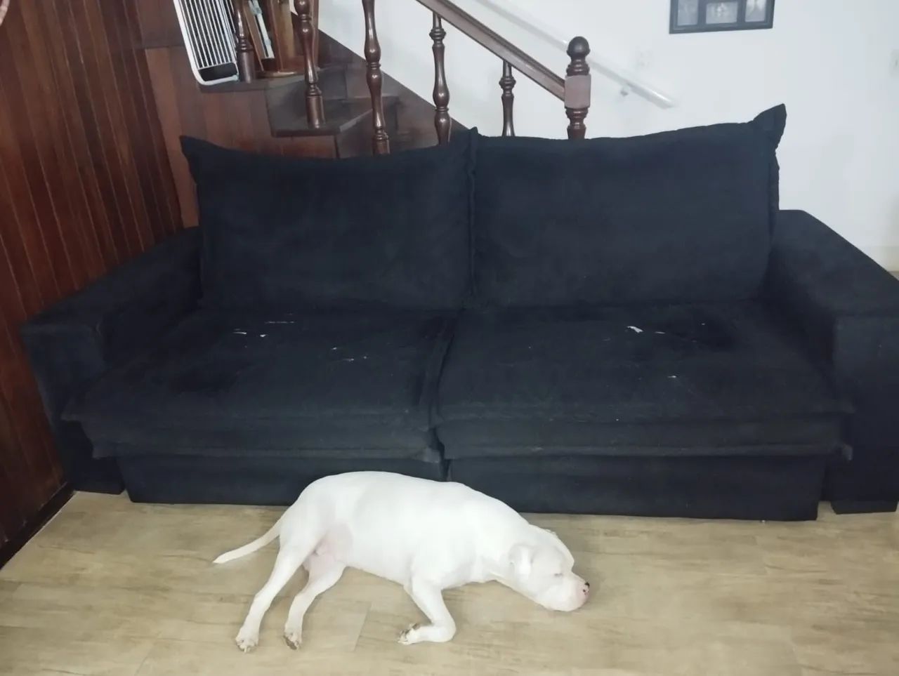 Sofá retratil - usado